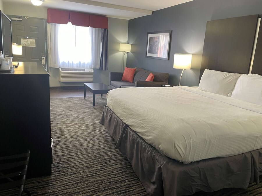 A hotel room with a large bed, a desk, a chair, a sofa, a lamp, and a picture on the wall.