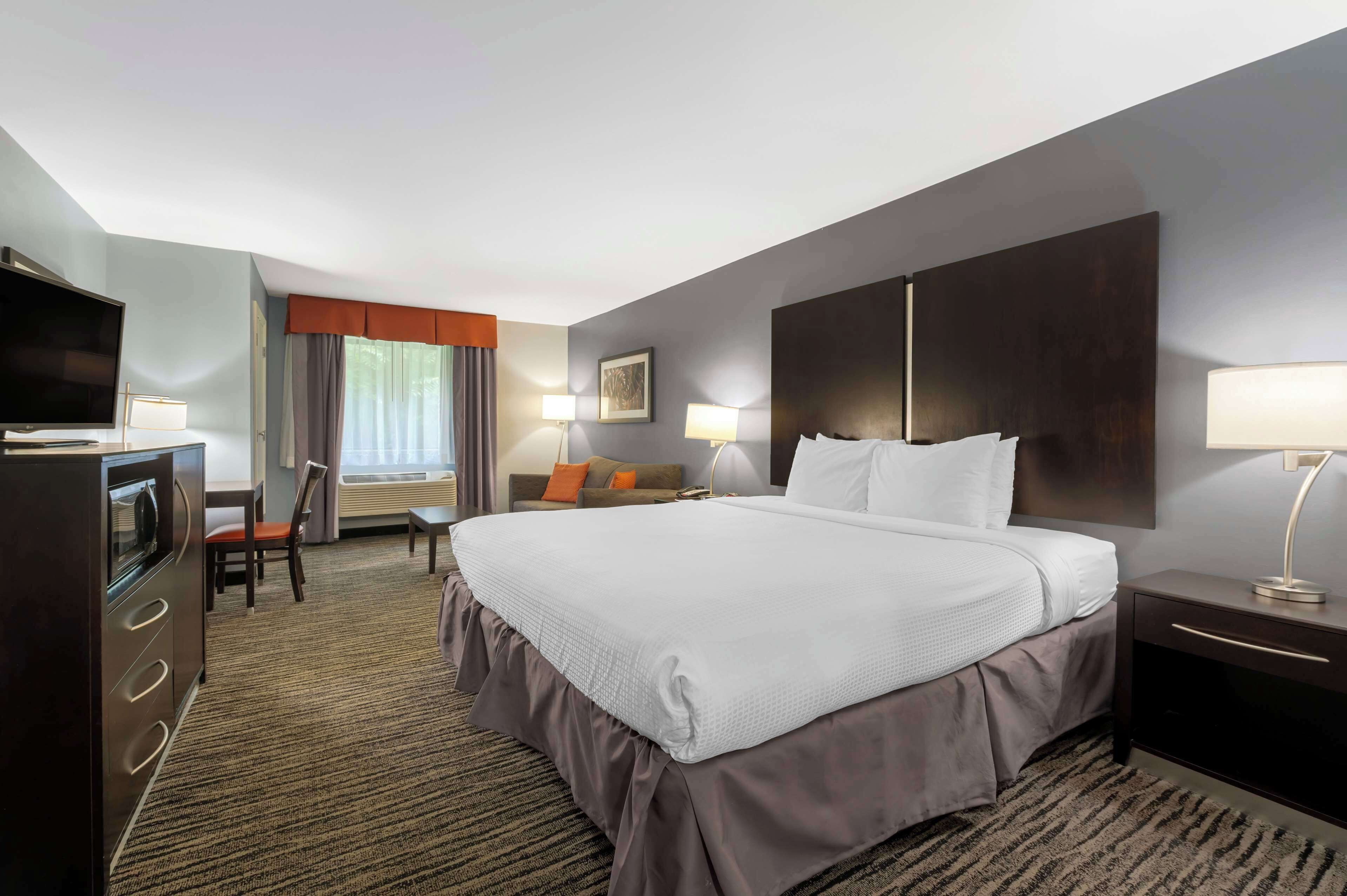 standard room, 1 king bed, non smoking (with sofabed) | desk, laptop workspace, blackout curtains, iron/ironing board