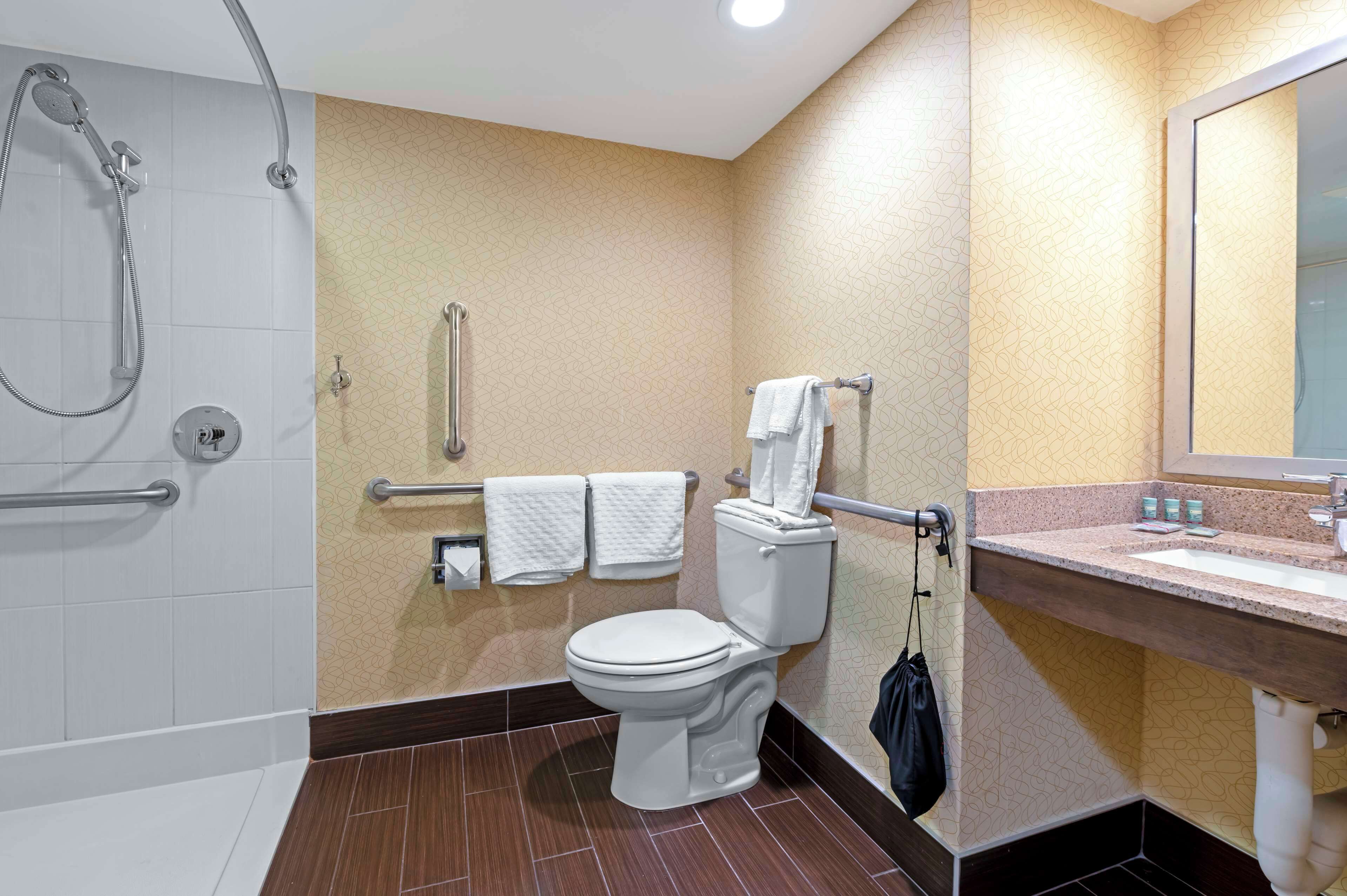 standard room, 1 king bed, accessible, non smoking | bathroom | free toiletries, hair dryer, towels