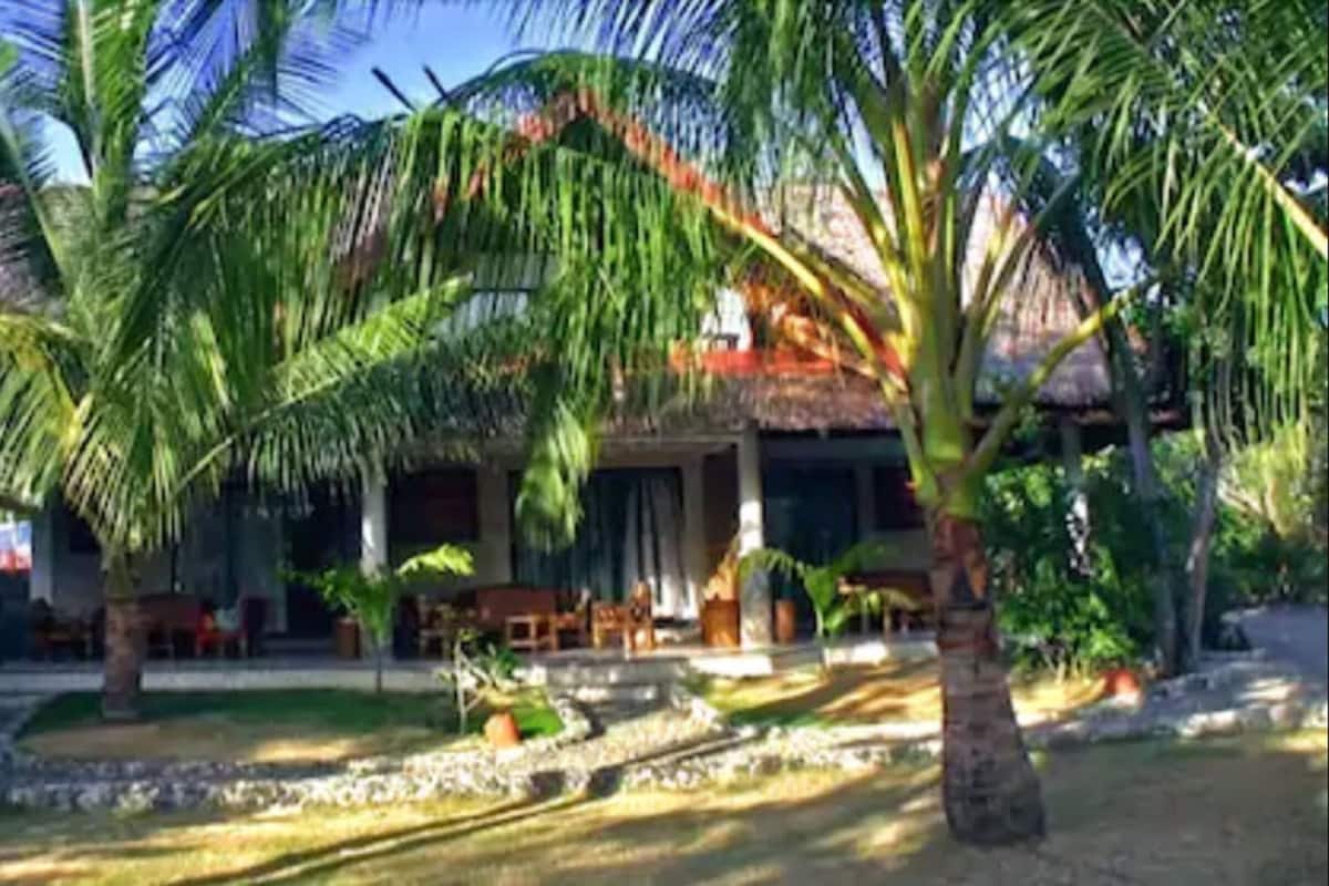 A tropical resort with palm trees, a thatched-roof building, and a paved walkway.
