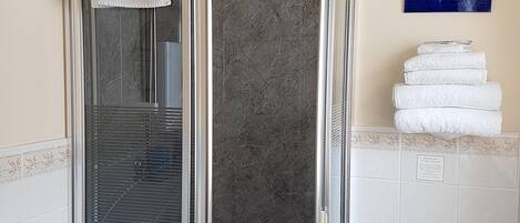 A bathroom with a glass-enclosed shower, a white toilet, and a sink.