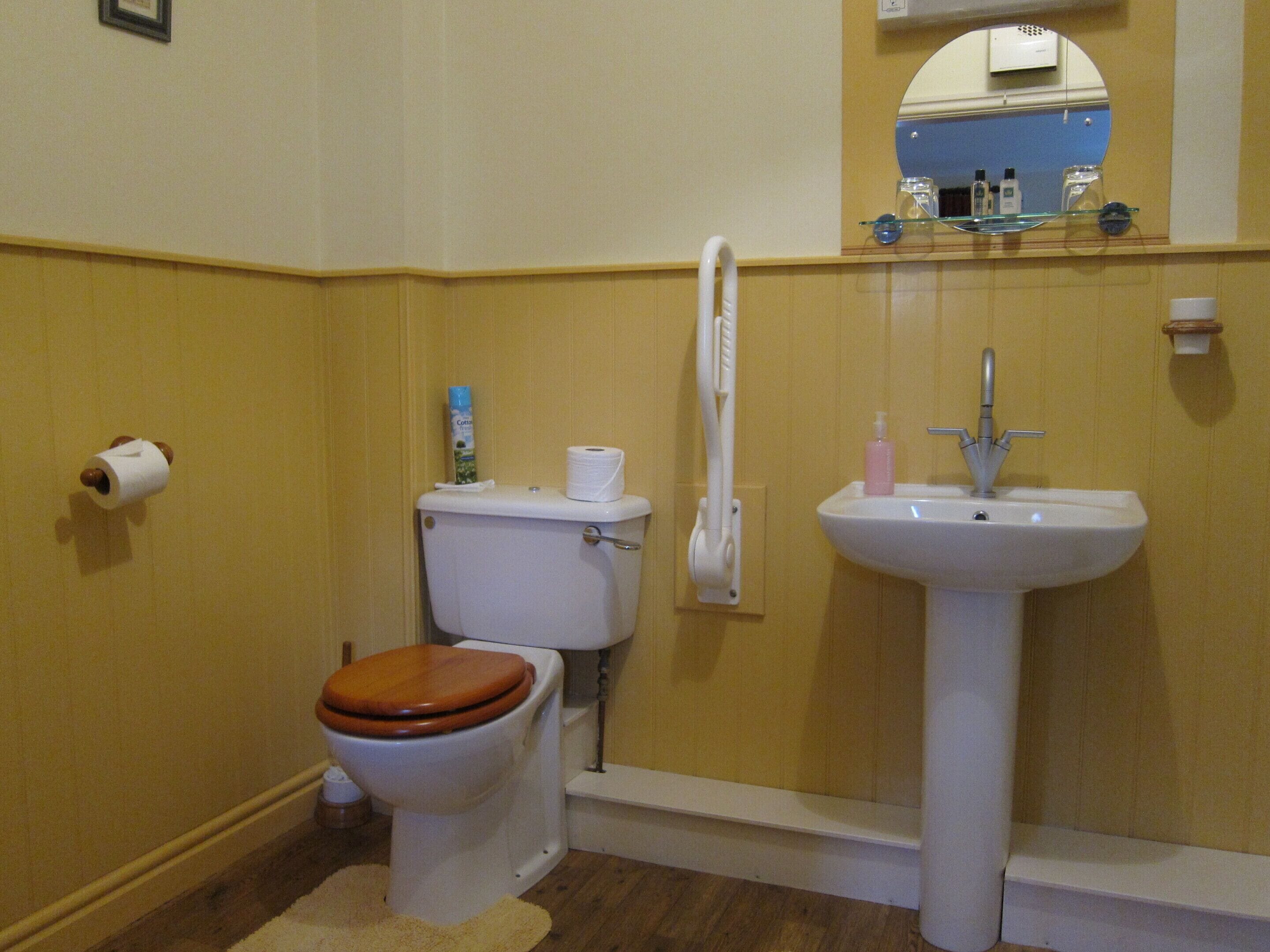 Une salle de bain avec des toilettes, un lavabo et un miroir.