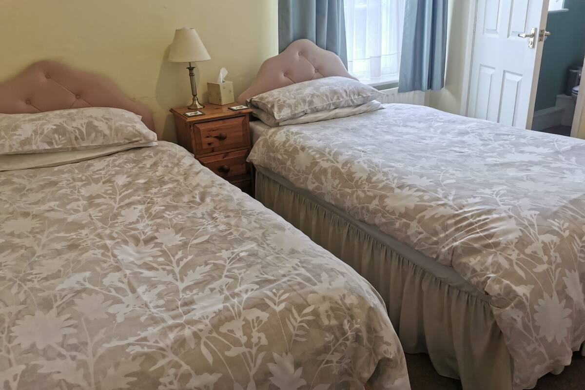 Dos camas con ropa de cama de estampado floral, una mesita de noche con lámpara y pañuelos de papel, y una puerta a la derecha.