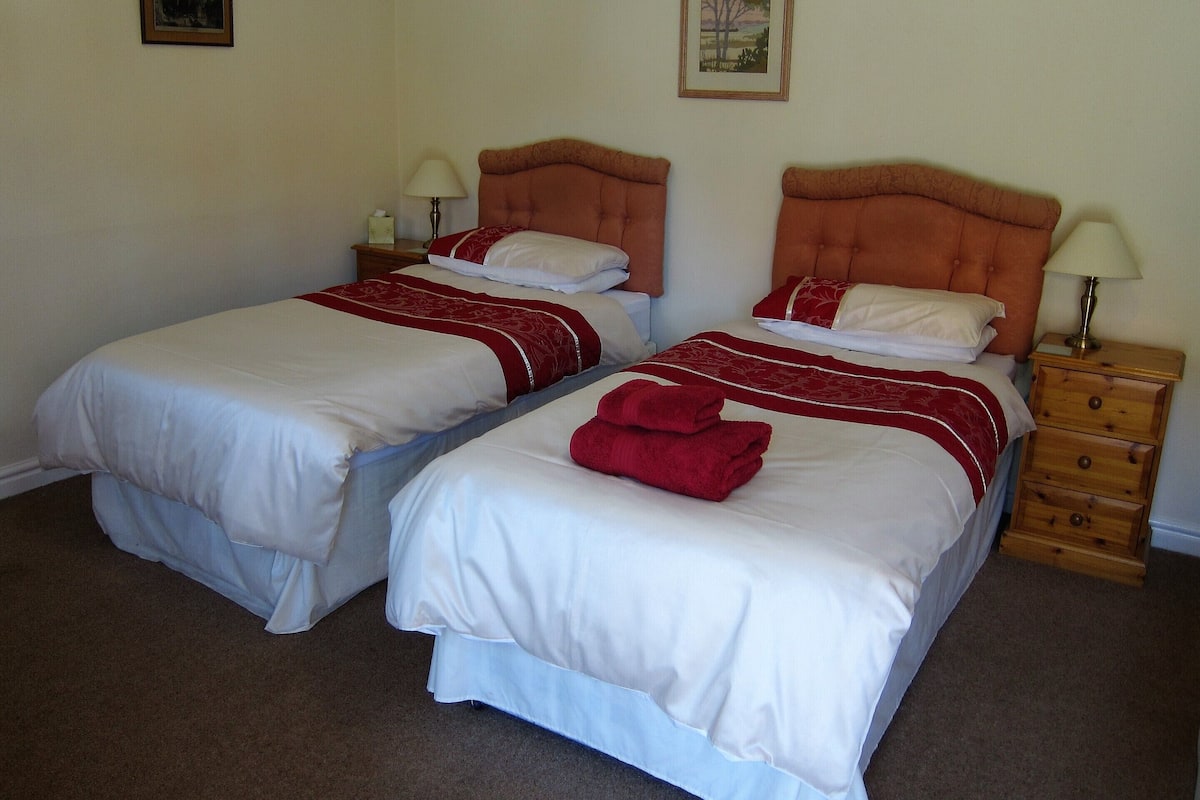 Habitación doble con dos camas, cada una con cabecero de madera, ropa de cama blanca y almohadas decorativas rojas. Se observan mesitas de noche con lámparas y un cajón pequeño.