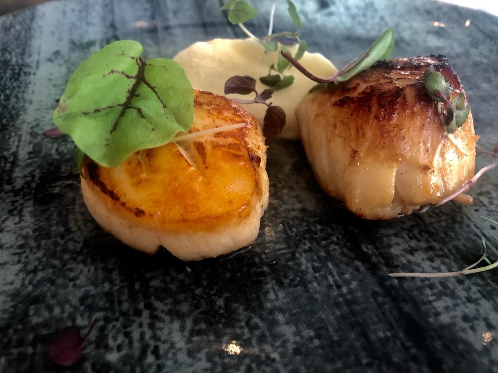 breakfast and dinner served