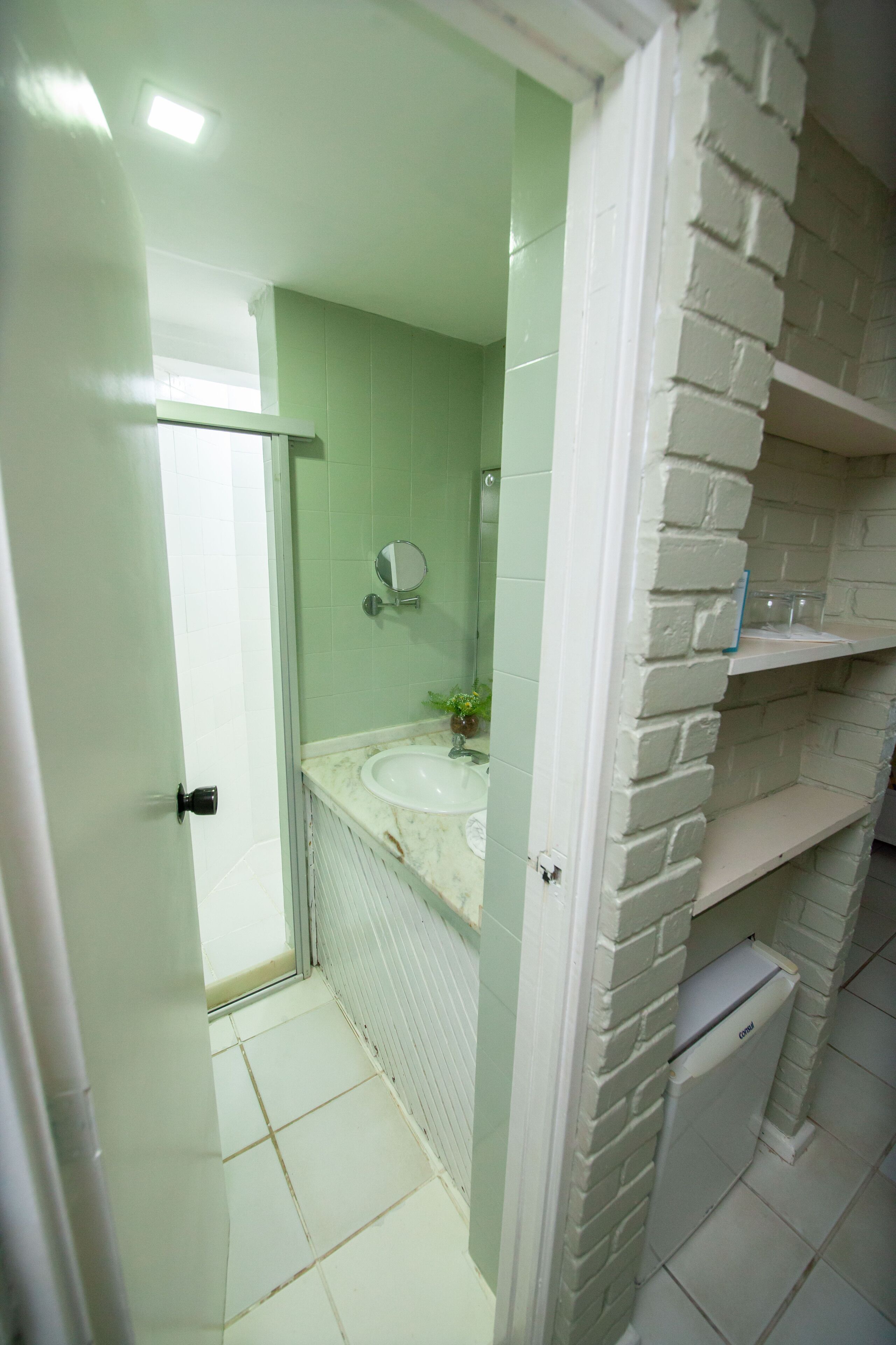A bathroom with a white sink, mirror, and a small plant on the counter.