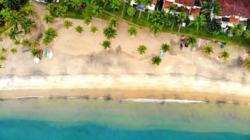 Vista aérea de una playa con palmeras, una orilla arenosa y algunas personas.