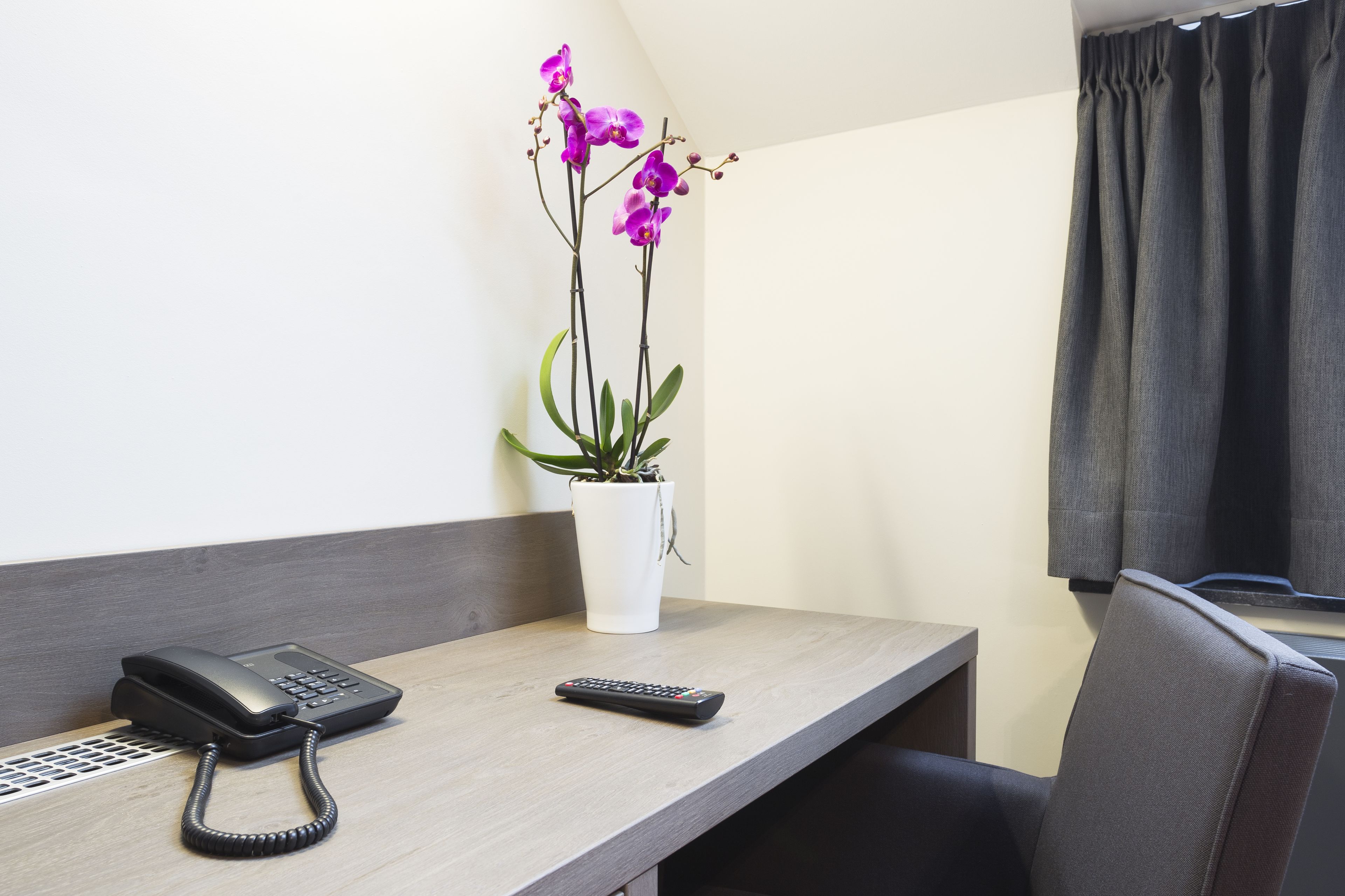 Habitación de hotel con escritorio, teléfono, control remoto y una orquídea en maceta.