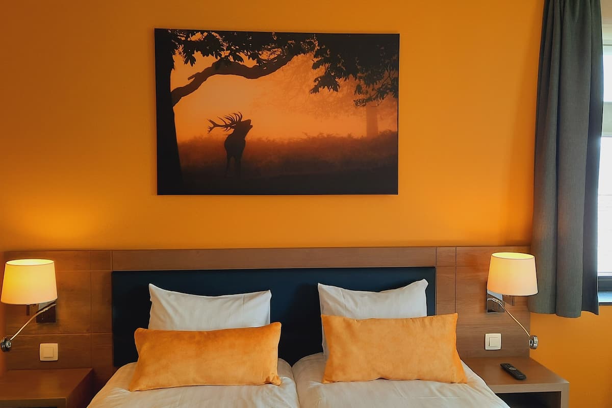 comfort double or twin room | in-room safe, individually decorated, desk, soundproofing