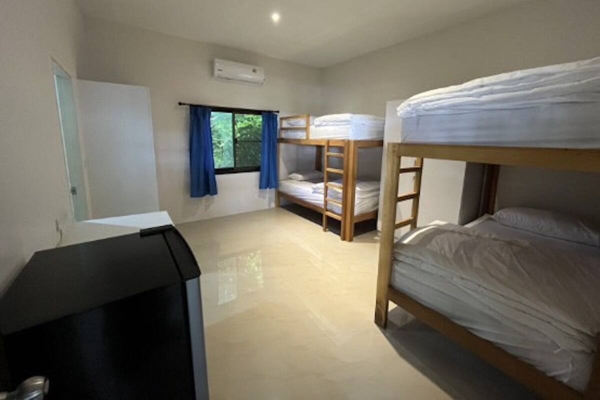 A dormitory room with bunk beds, a desk, and a window with curtains.