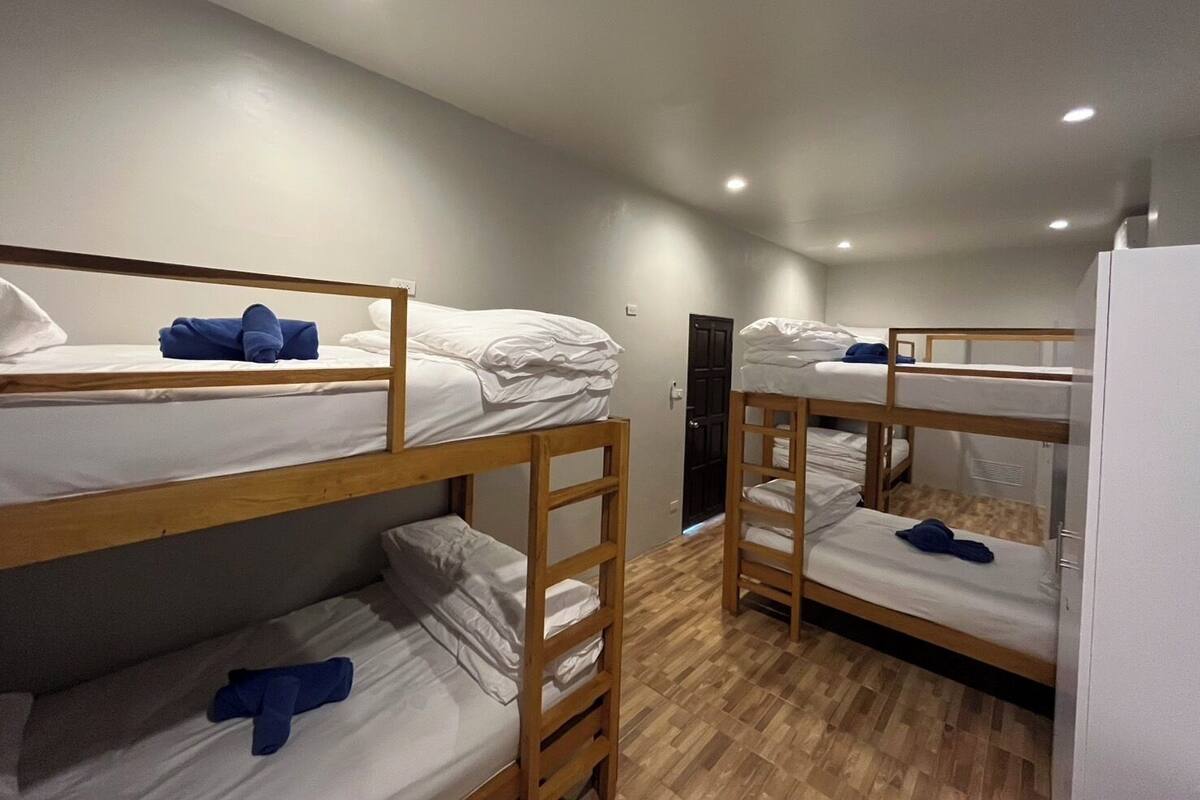 A dormitory room with bunk beds, wooden flooring, and a white refrigerator.