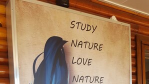 Una frase motivacional en una pared con una ilustración de hoja.