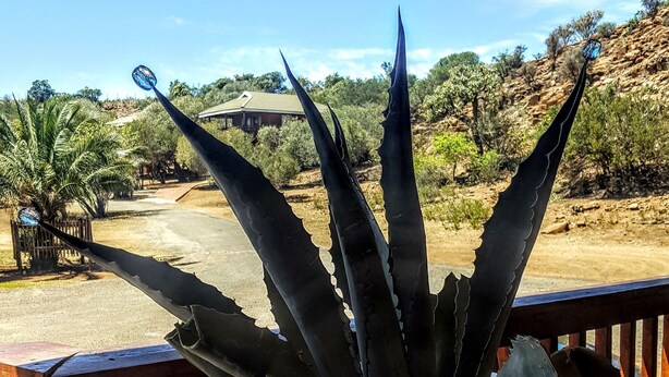 Una planta de agave en maceta sobre una terraza de madera, con vistas a un paisaje desértico y edificios a lo lejos.