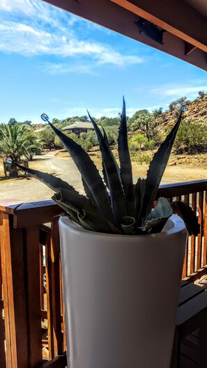 A potted agave plant on a wooden deck with a view of a desert landscape and distant buildings. - Sangiro Game Lodge (Bloemfontein)