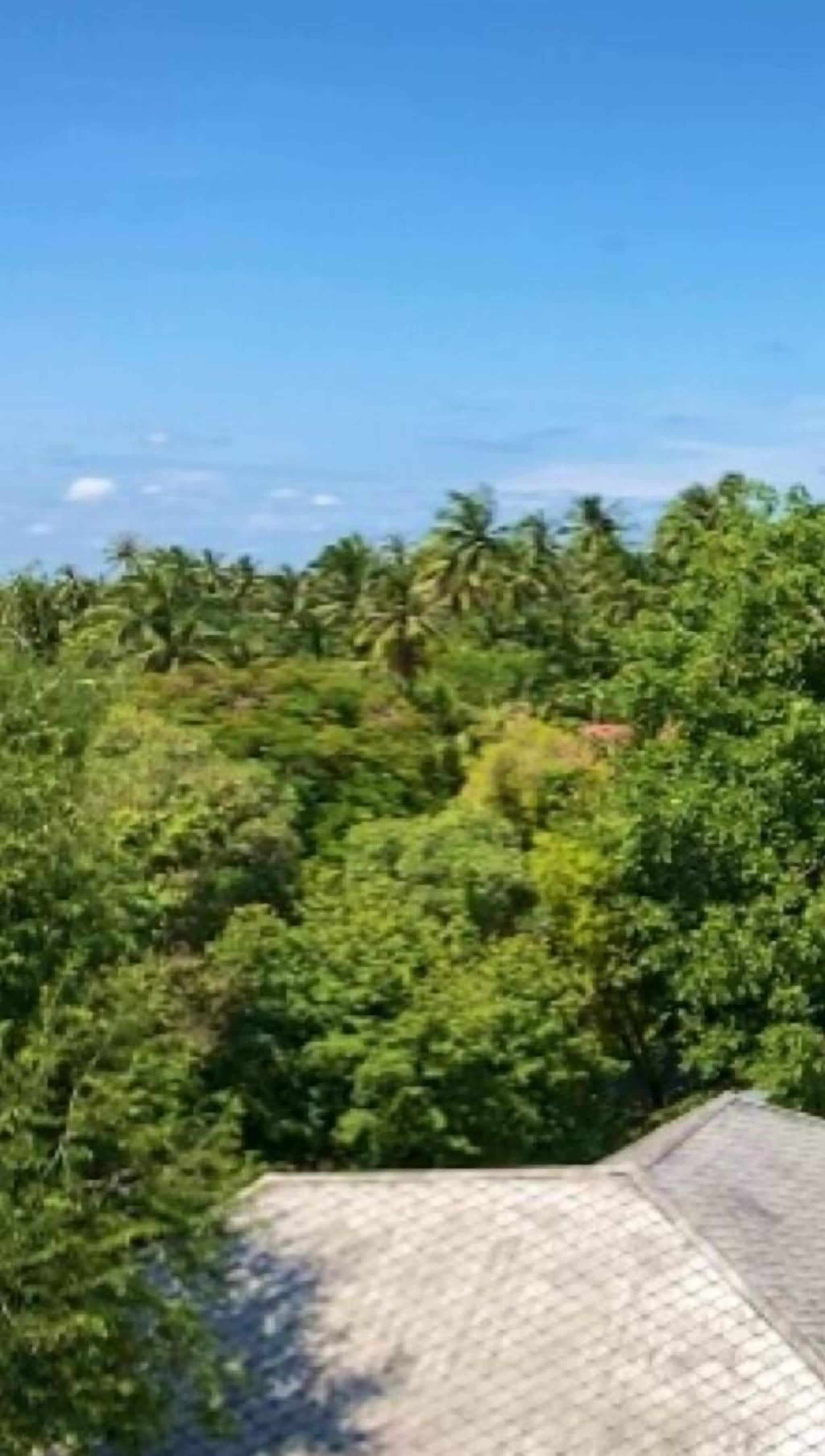 rim khlong | garden view