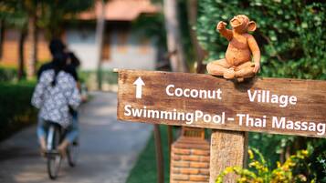 Coconut Village | Garden view