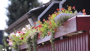 Una valla de madera con jardineras que contienen diversas flores.