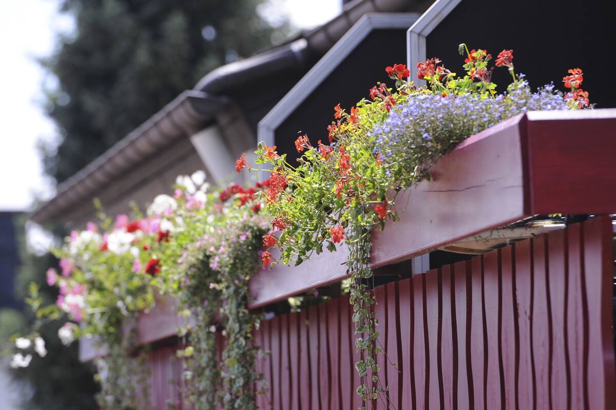 Cercado de madeira com jardineiras cheias de flores diversas.