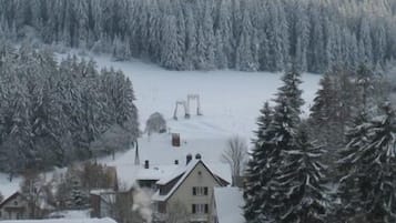 A residential area with snow-covered houses and trees.