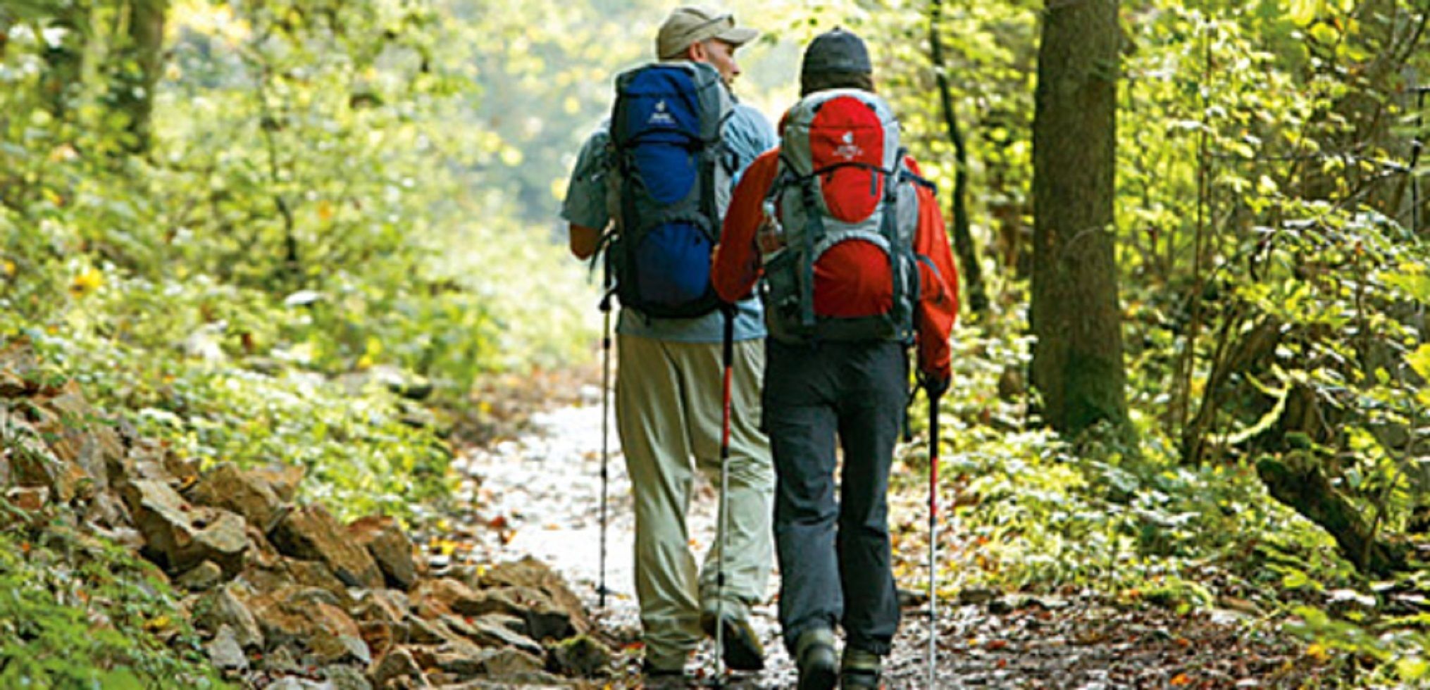 Two people hiking on a forest trail with backpacks.