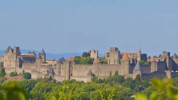 A medieval castle with multiple towers and walls, surrounded by greenery and mountains in the background.