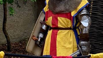 A person in medieval armor with a shield and sword, standing outdoors.