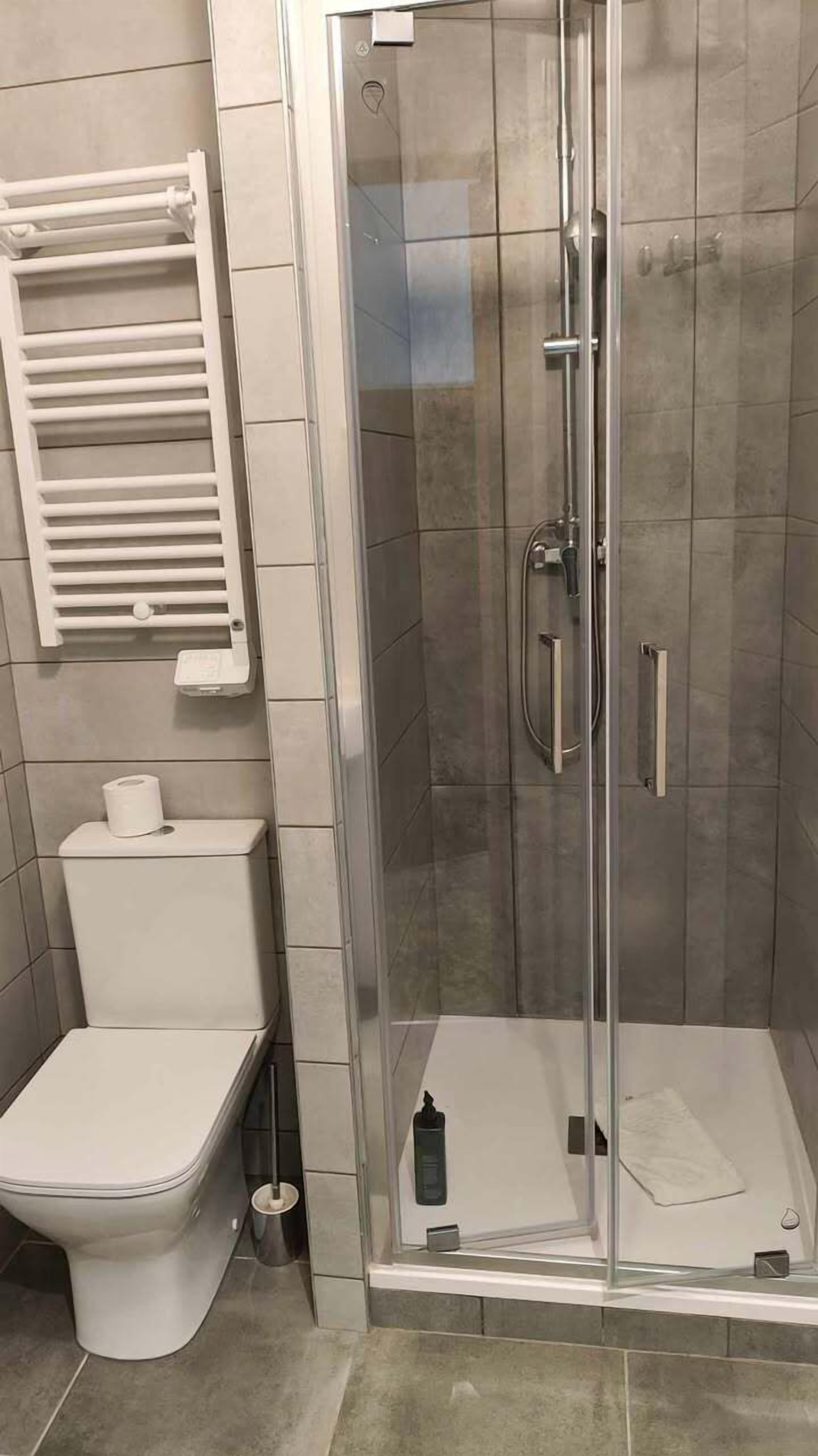 shower, free toiletries, hair dryer, towels