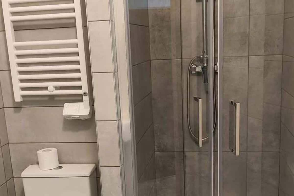 shower, free toiletries, hair dryer, towels