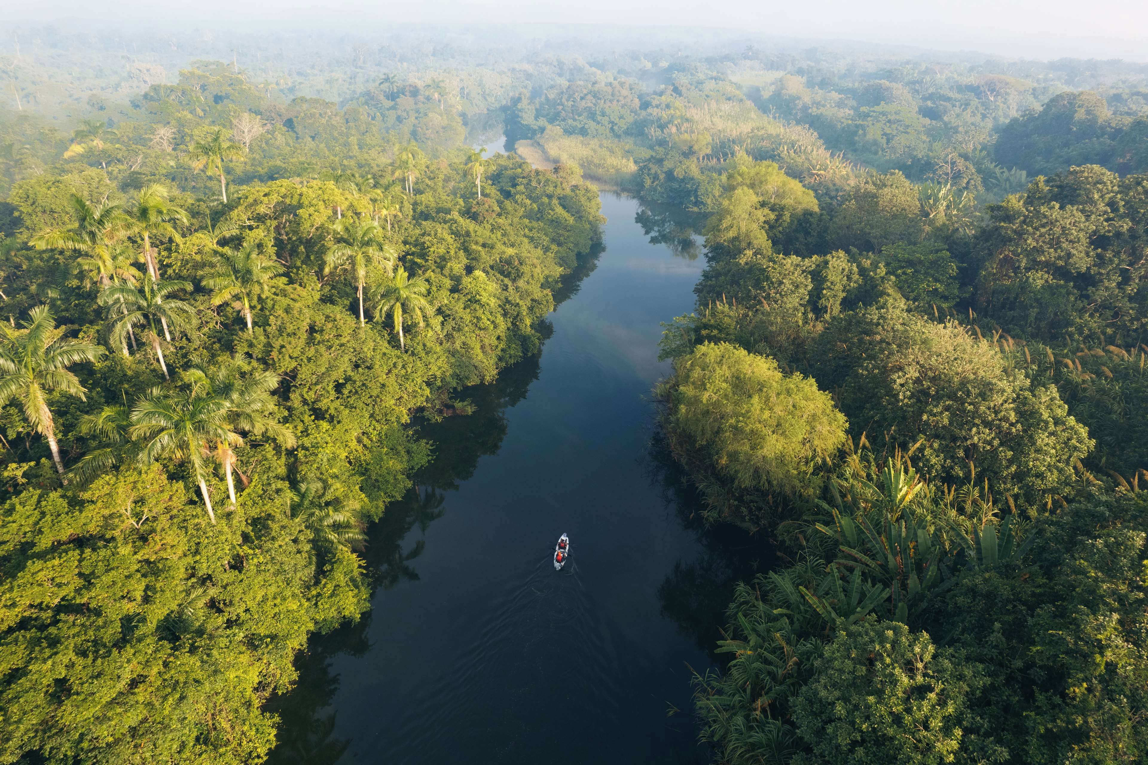 An aerial view of a river surrounded by dense tropical vegetation.