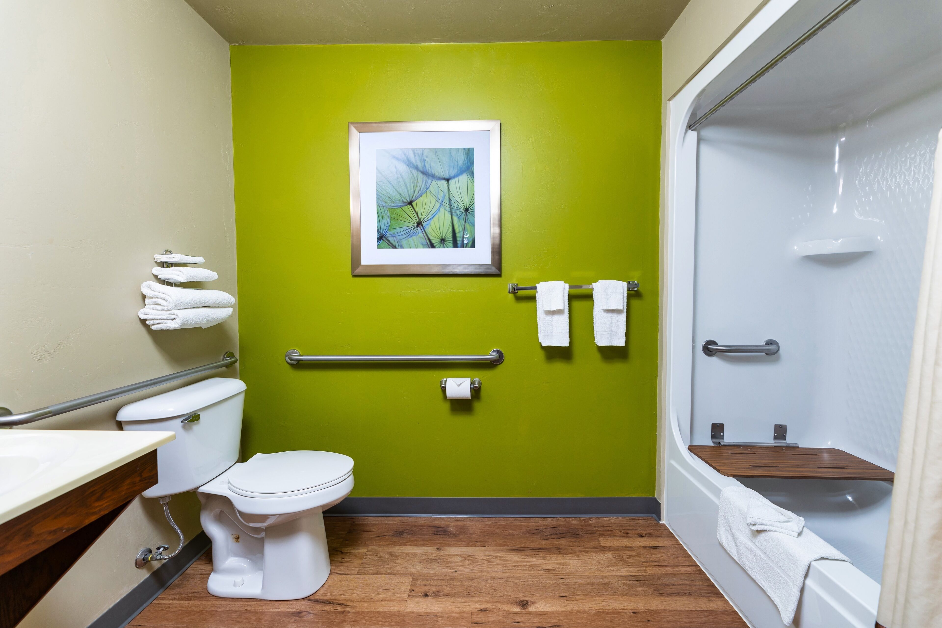 room, 1 queen bed, accessible | bathroom | combined shower/bathtub, free toiletries, hair dryer, towels