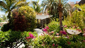 A garden pathway with lush greenery and flowering plants. - Palm Oasis Maspalomas (San Bartolomé de Tirajana)
