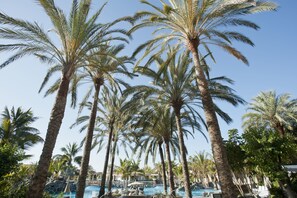 Un resort con altas palmeras, una piscina y sillones de descanso.