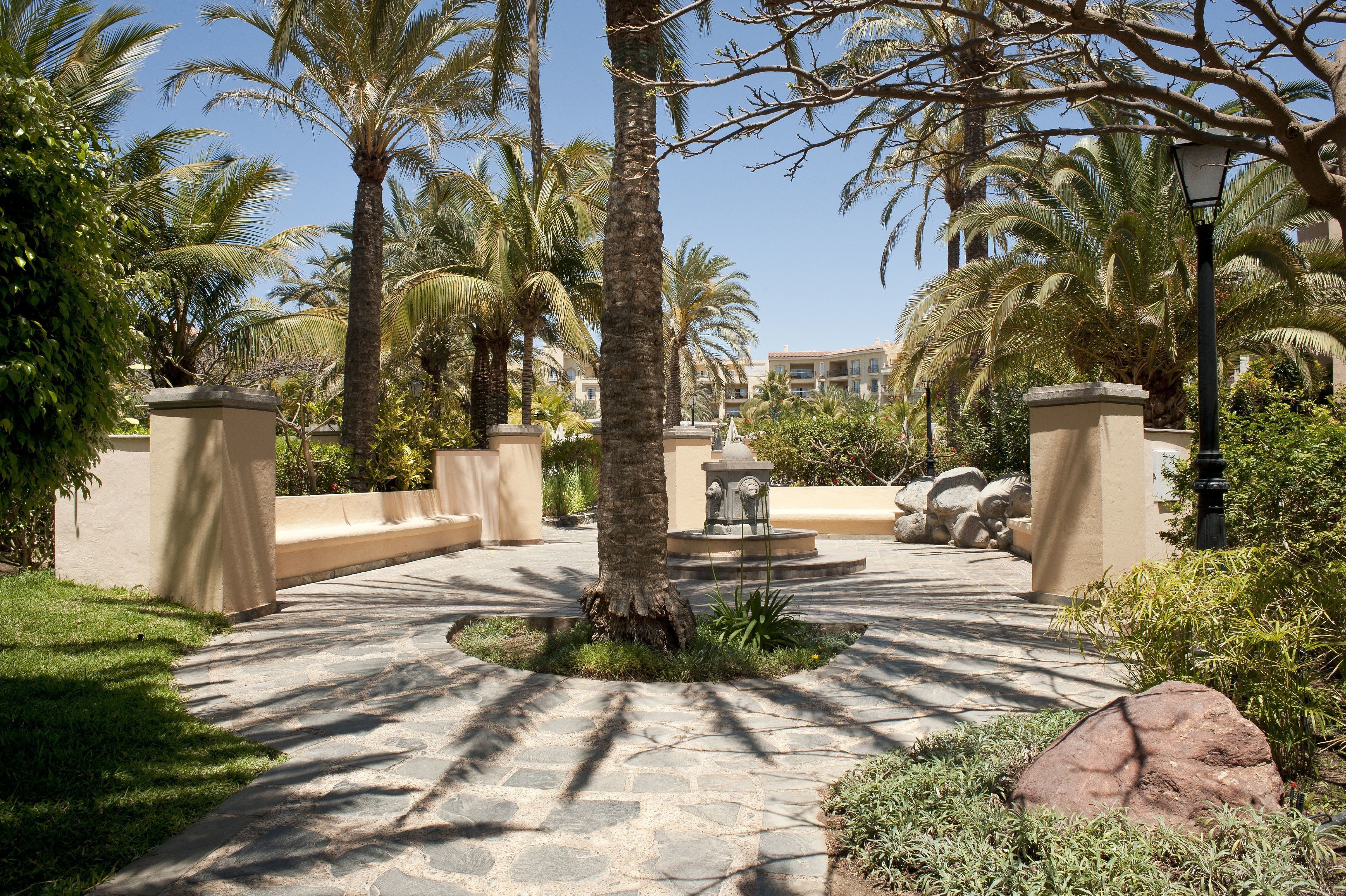 Foto - Palm Oasis Maspalomas