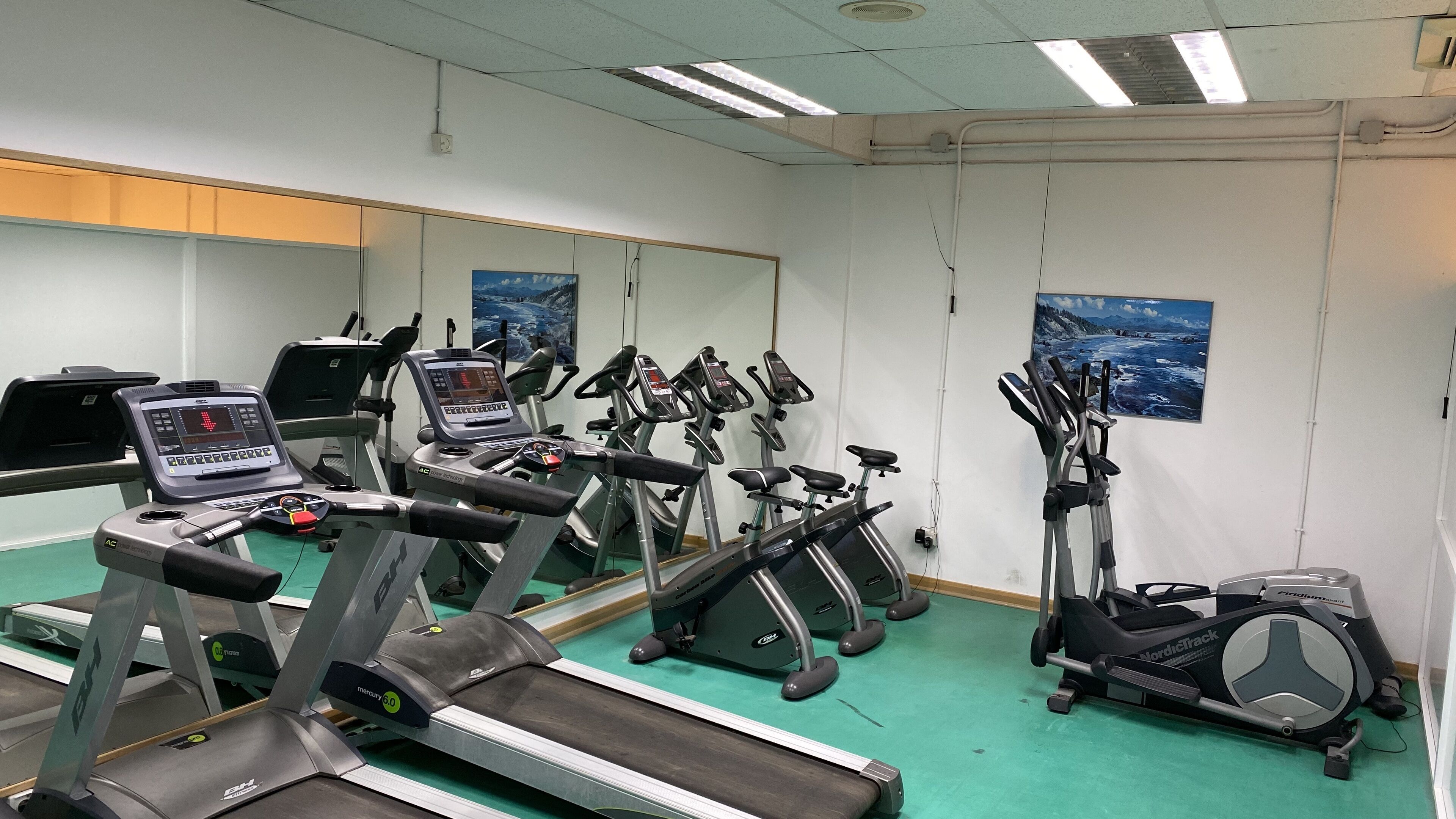 Een sportschool met diverse cardioapparaten, waaronder loopbanden en hometrainers, in rijen gerangschikt.