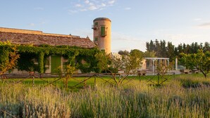Un edificio histórico con una torre, rodeado de un jardín bien cuidado con campos de lavanda.