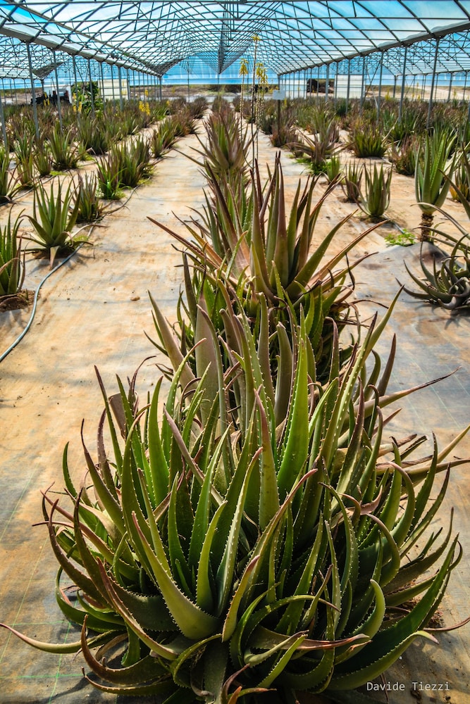 Naturalis Bio Resort by null