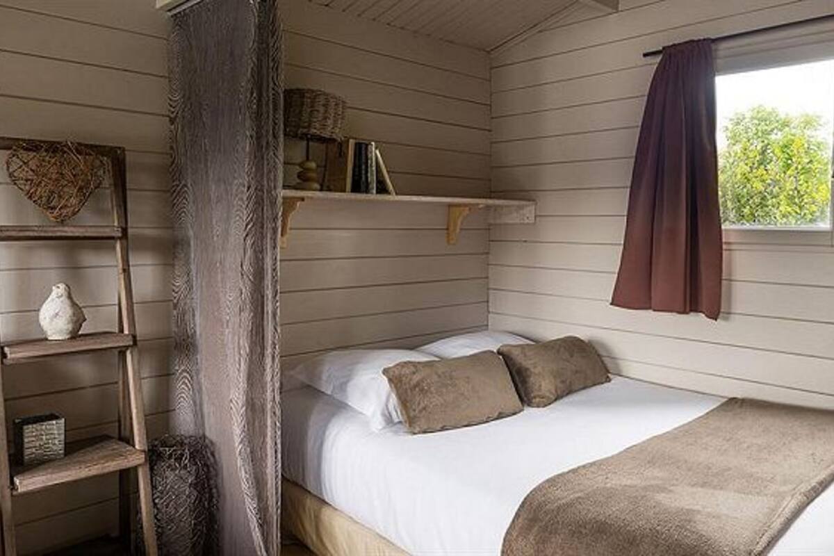 A bedroom with a bed, a shelf with books, a window with curtains, and a ladder.