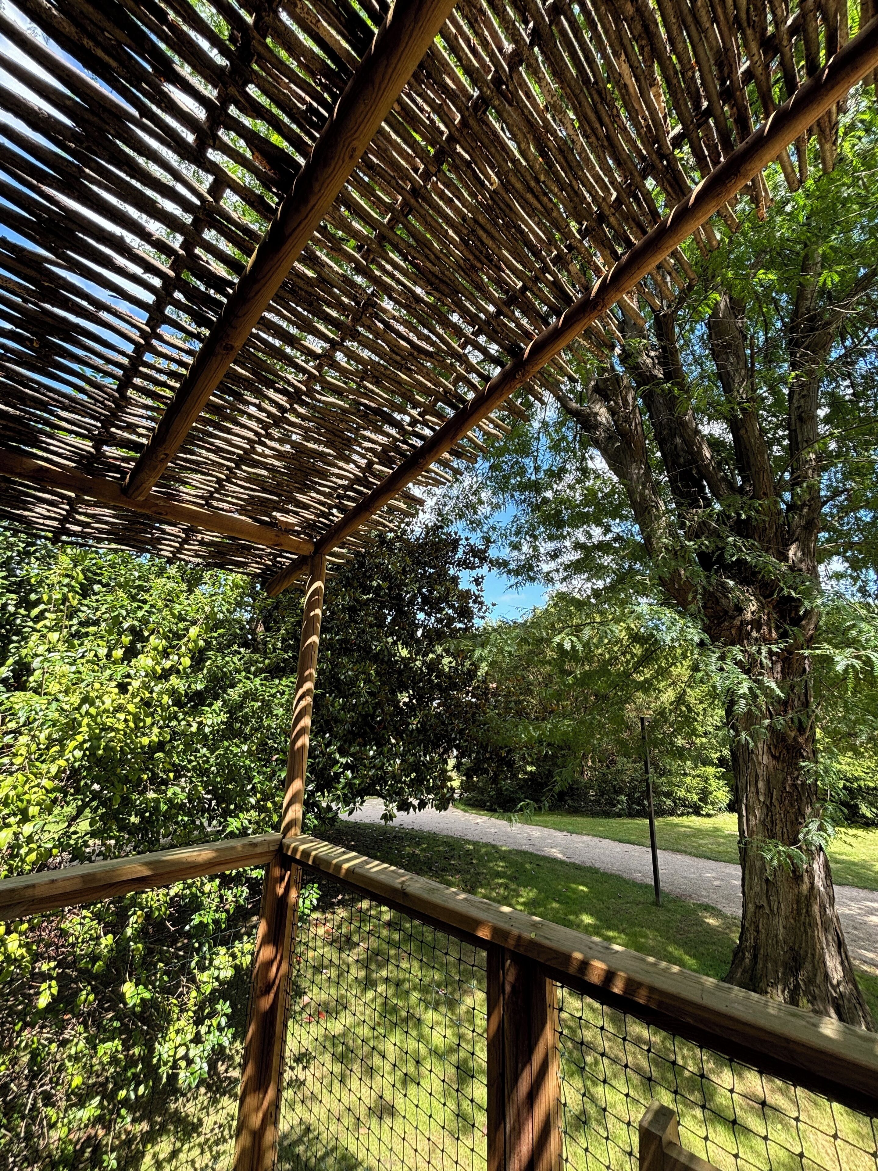 comfort cabin | view from room