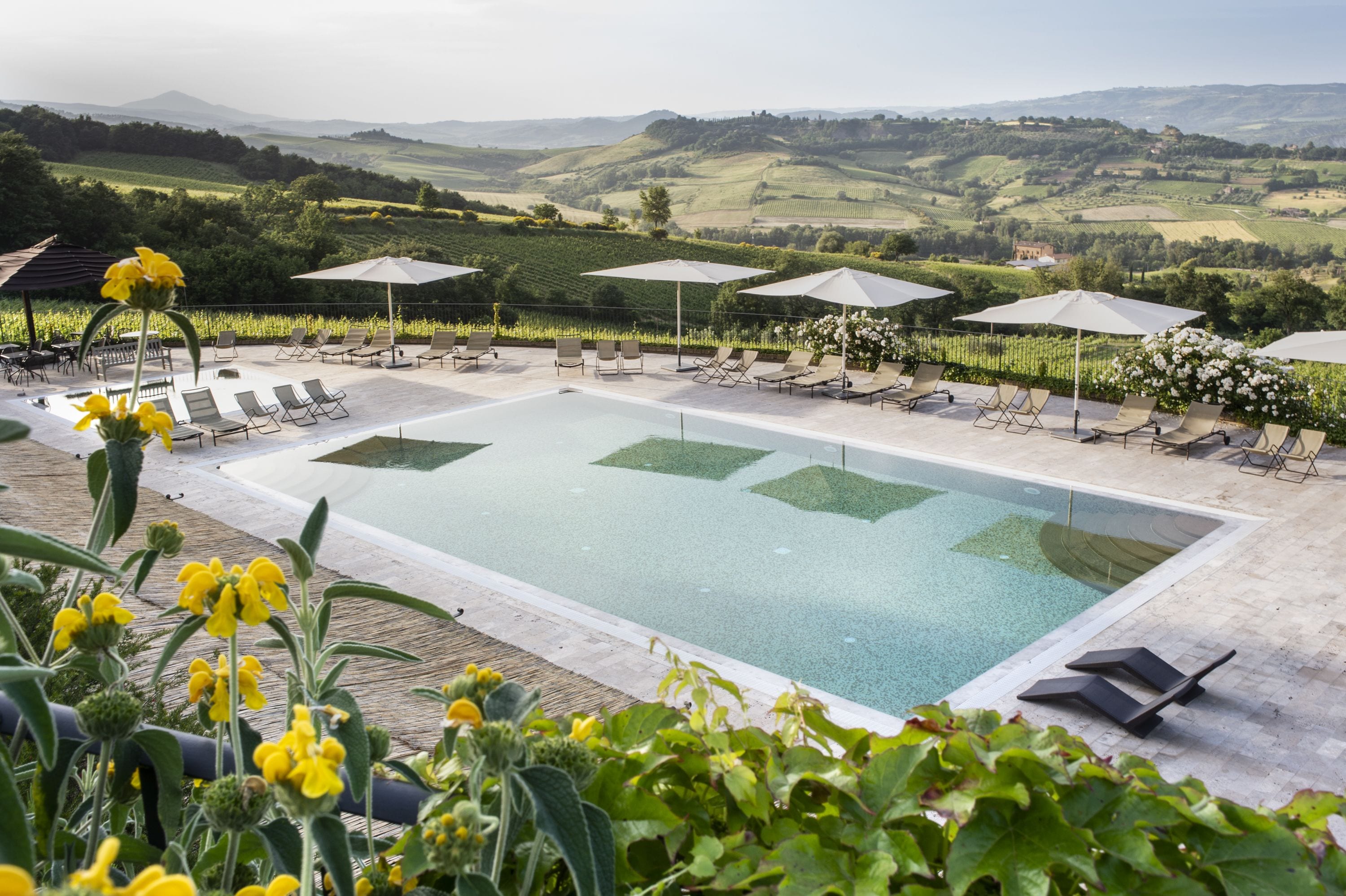 A pool with lounge chairs and umbrellas, surrounded by greenery and a scenic view of rolling hills.