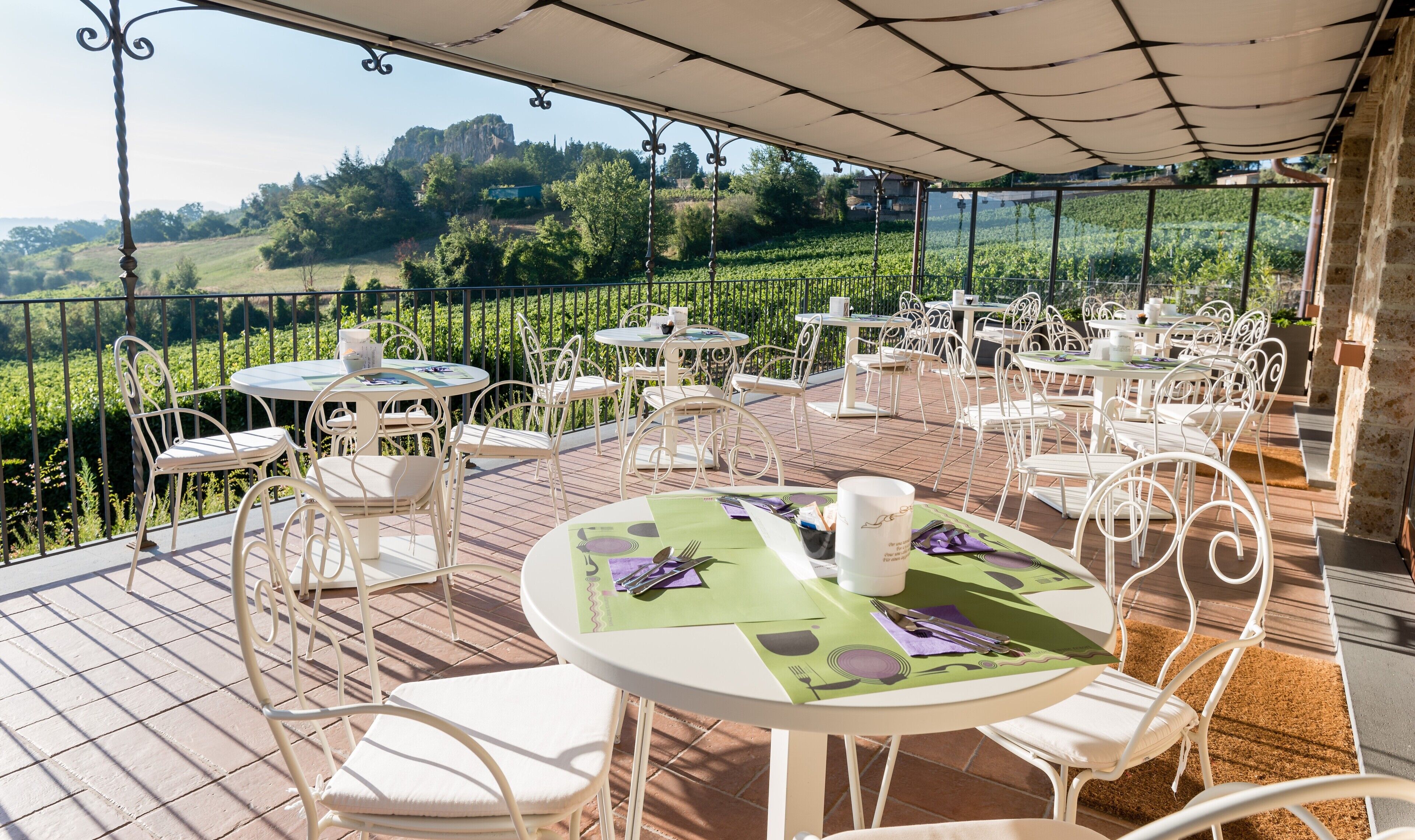 An outdoor terrace with round tables and white chairs, overlooking a vineyard.