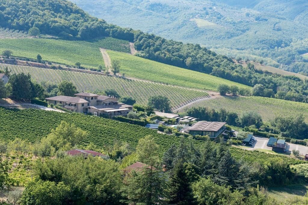 Un vignoble composé de rangées de vignes et comprenant plusieurs bâtiments, dont une grande maison et des constructions plus petites, le tout entouré d’une végétation luxuriante et de collines.
