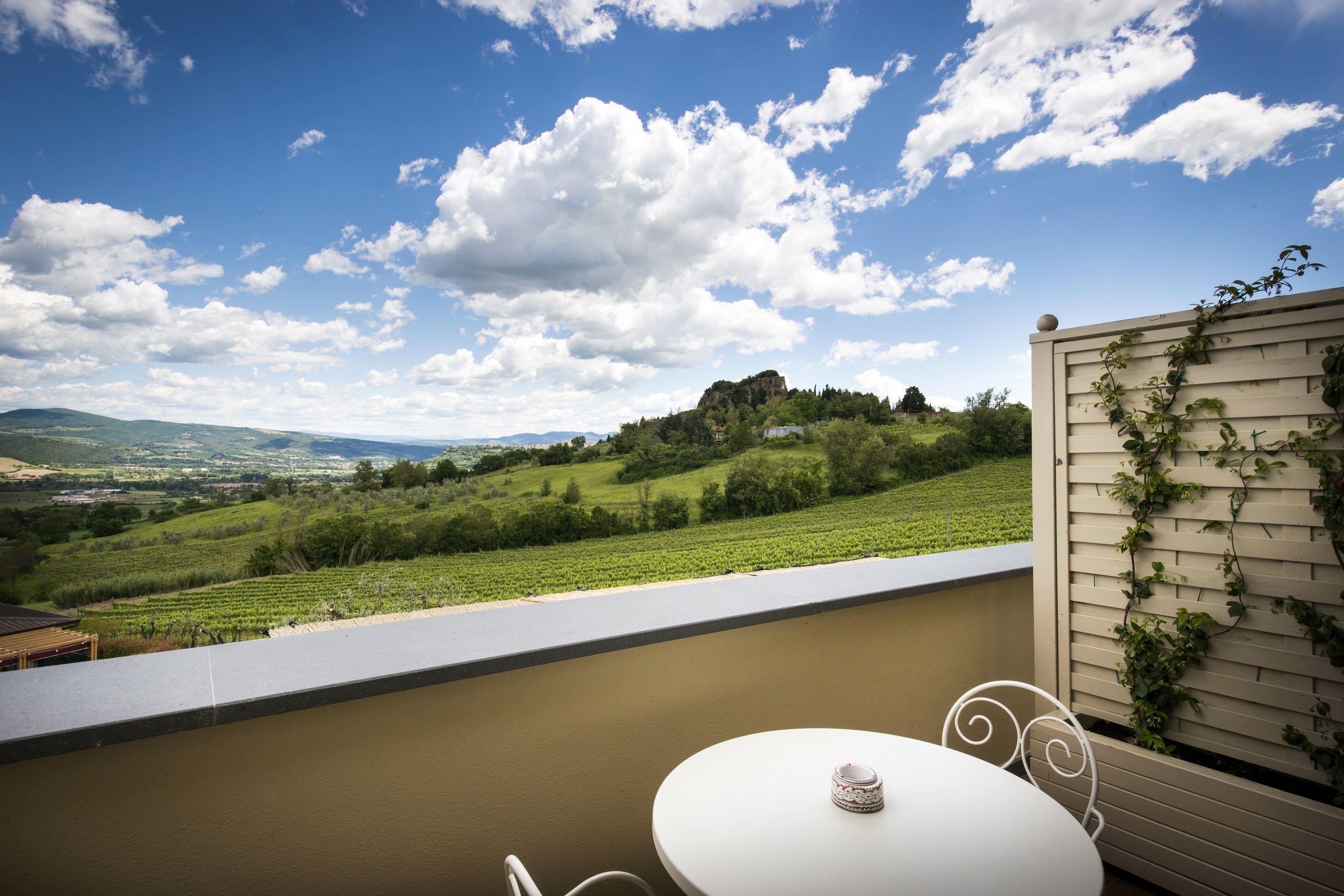 A terrace with a table and chairs, overlooking a vineyard and distant hills under a partly cloudy sky.