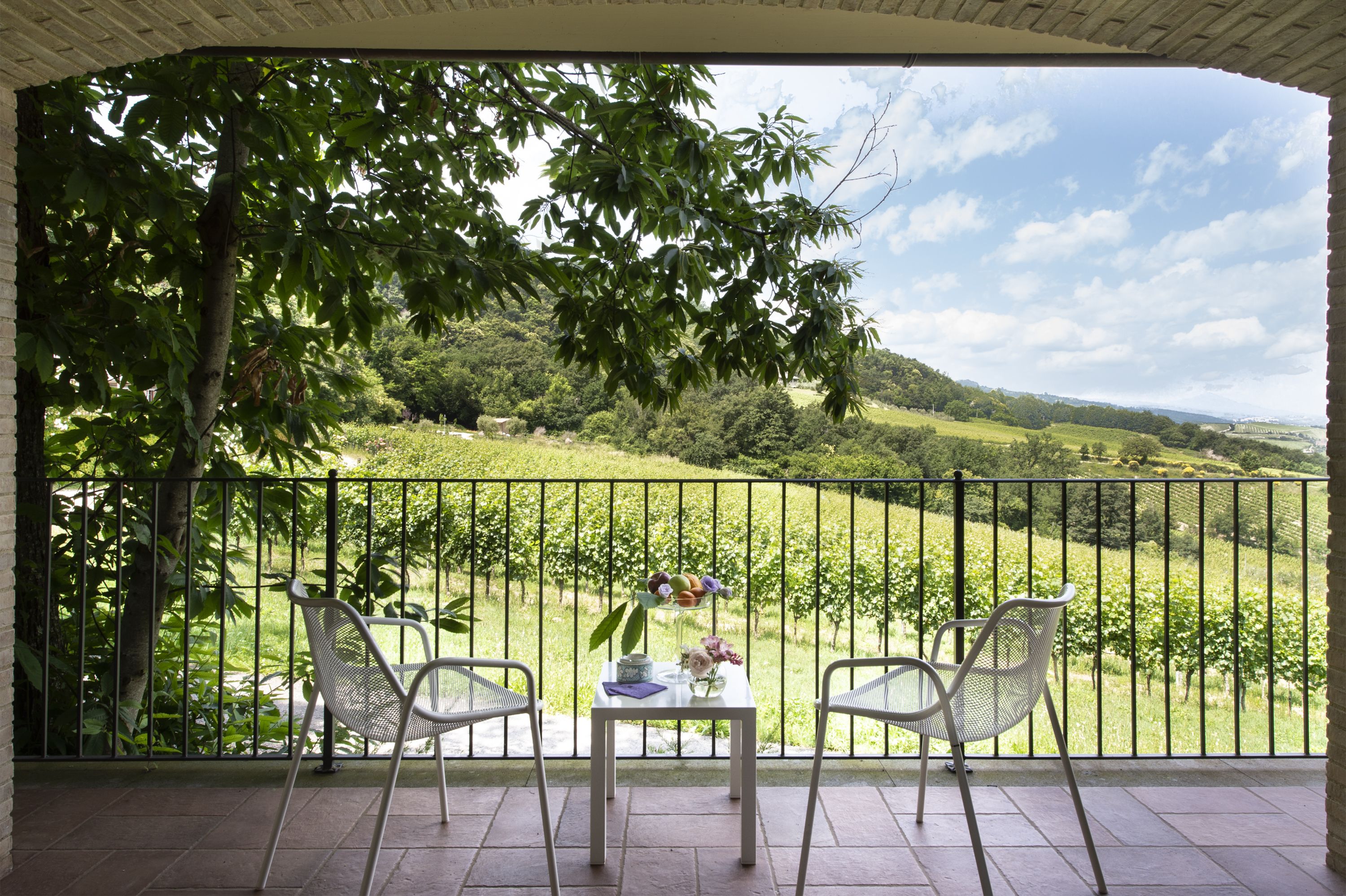 Suite, 1 King Bed, Vineyard View, Annex Building | View from room