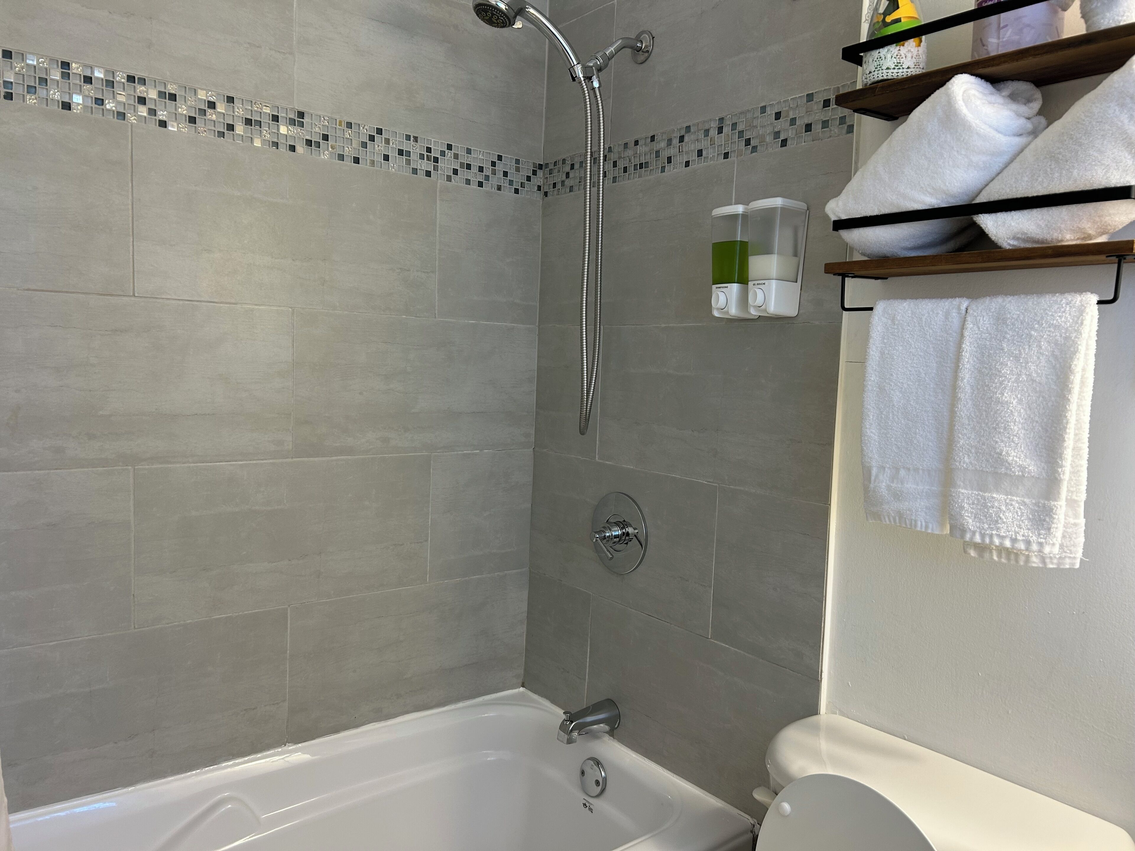 Combined shower/tub, rainfall showerhead, free toiletries, hair dryer