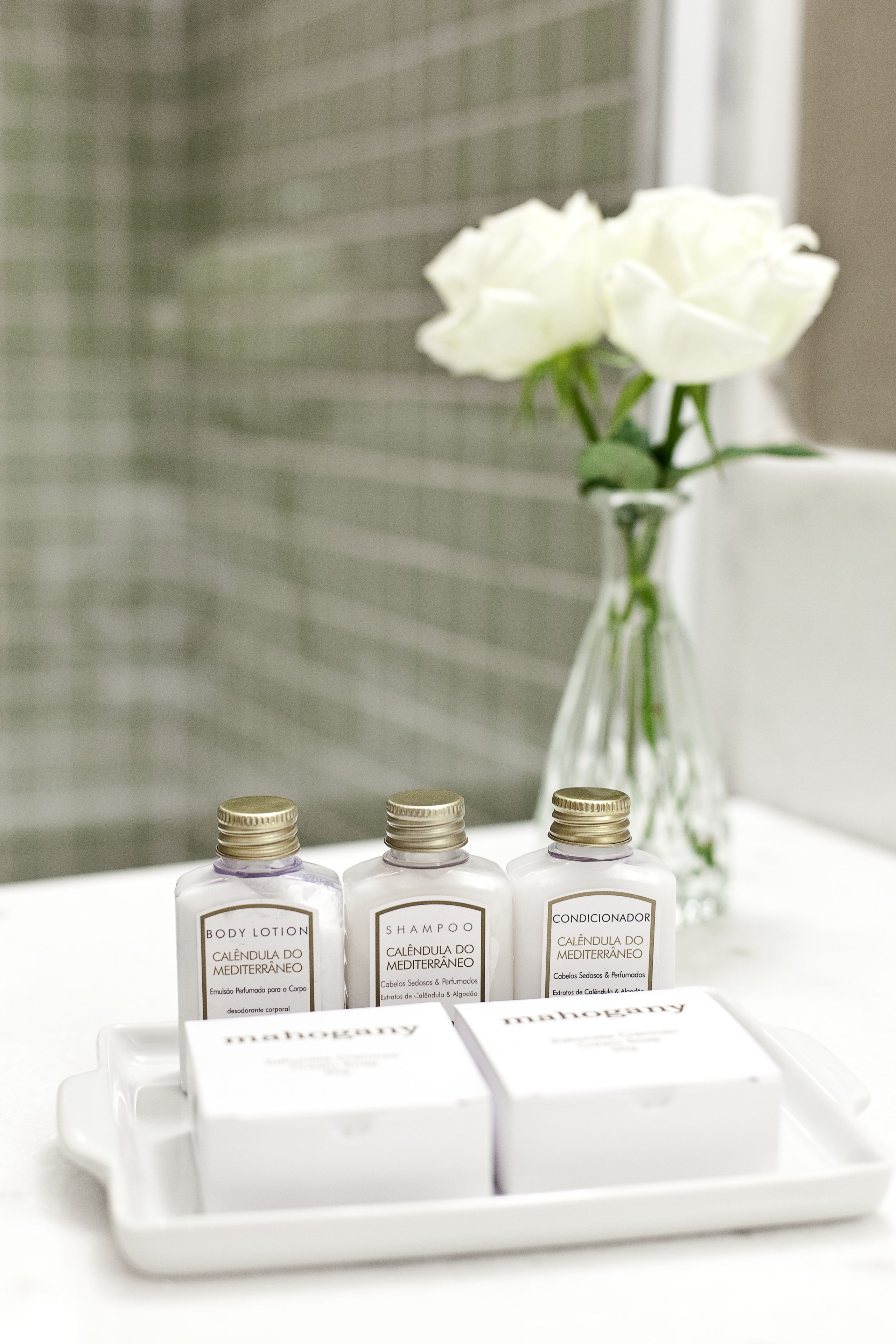 deluxe room | bathroom | shower, free toiletries, hair dryer, towels