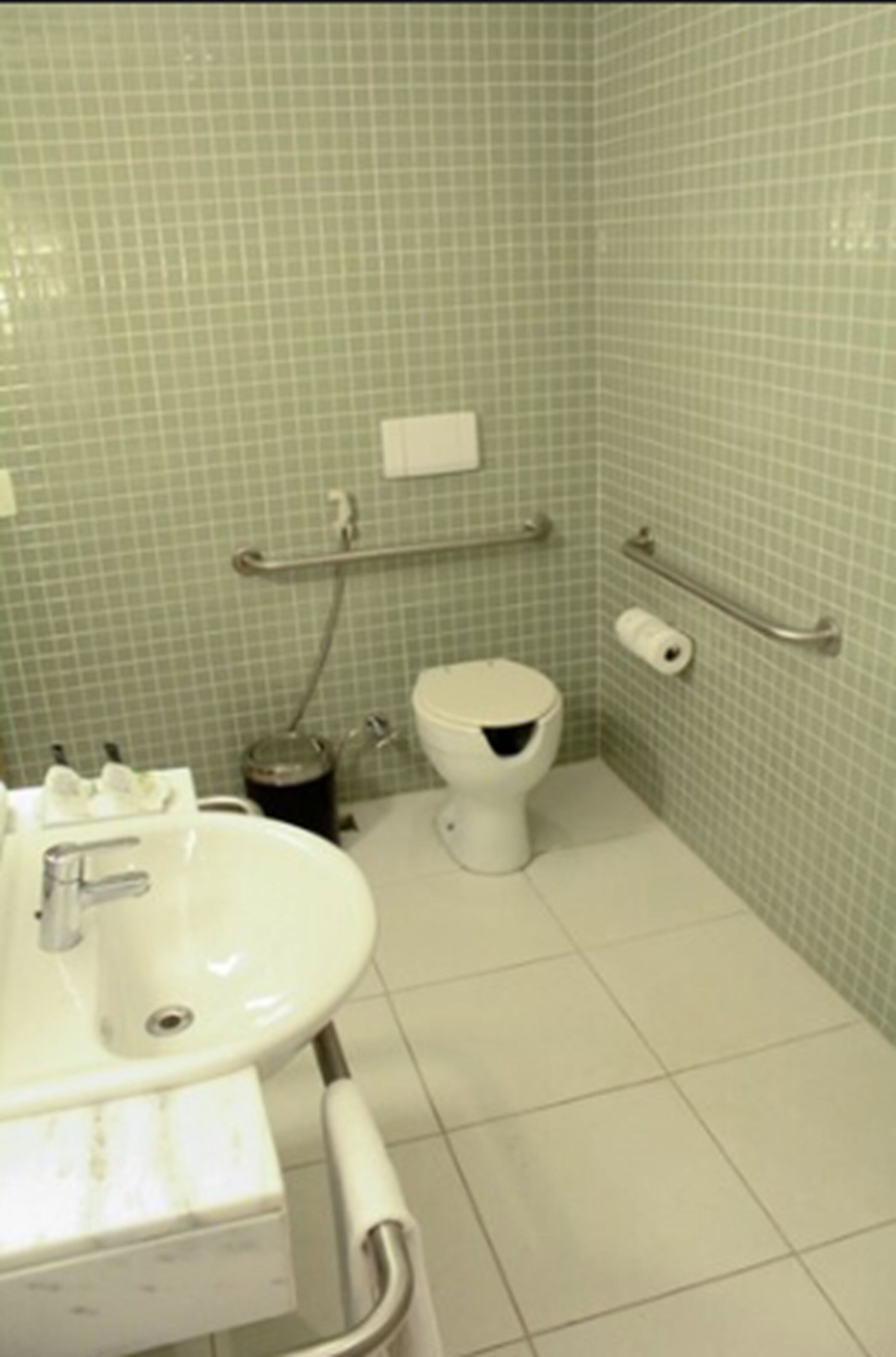 Casa de banho com lavatório branco, sanita e barras de apoio.