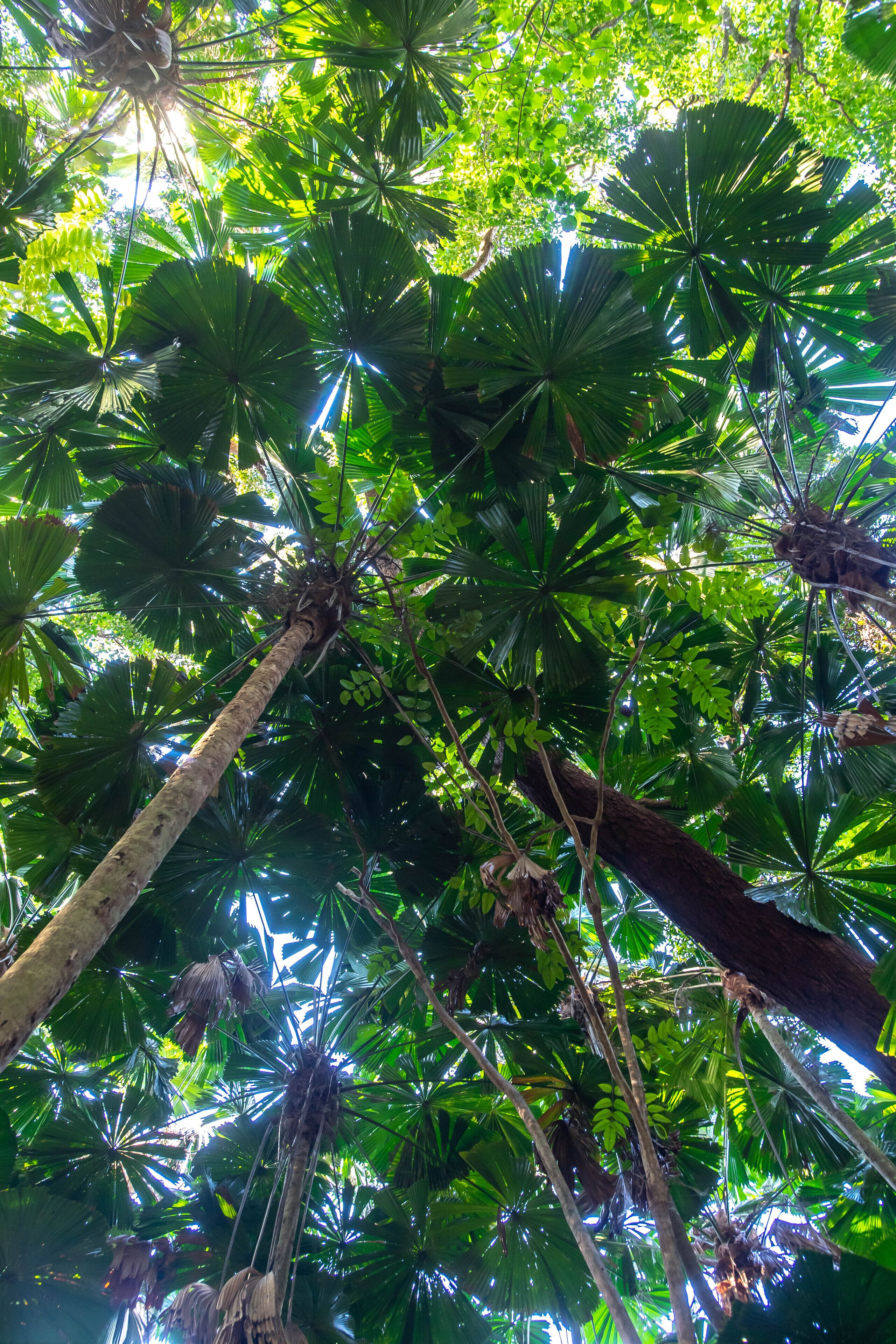 ribbon cabin | view from room