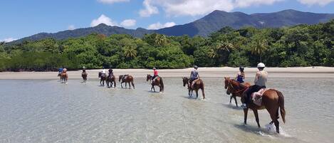 Un groupe de personnes à cheval se promène le long d’une plage où l’eau est claire, avec une montagne en arrière-plan.