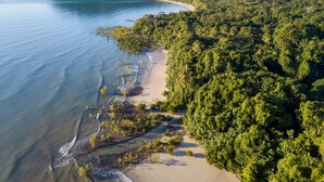 Vista aérea de una zona costera con una playa arenosa, un bosque verde frondoso y una pequeña isla en la distancia.