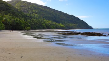 A beach with a sandy shore, a rocky outcrop, and a forested hill in the background.
